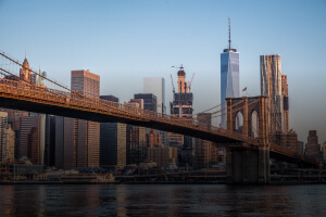 Best New York Betting Sites 2025